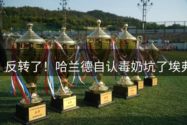 反转了！哈兰德自认毒奶坑了埃弗顿，补时绝平后改口 “没奶死”