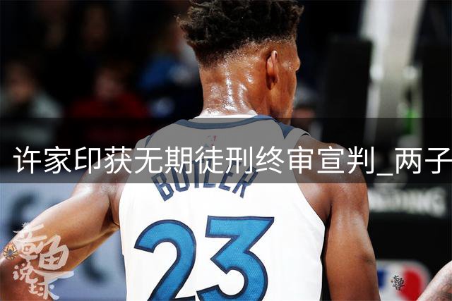 许家印获无期徒刑终审宣判 两子同案获刑引关注